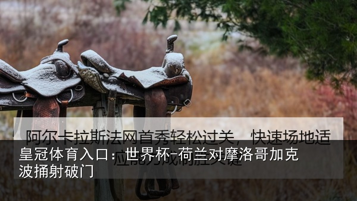 皇冠体育入口：世界杯-荷兰对摩洛哥加克波捅射破门