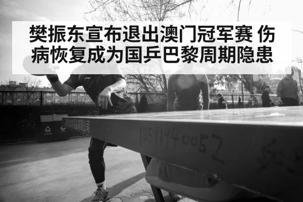 chinese table tennis team